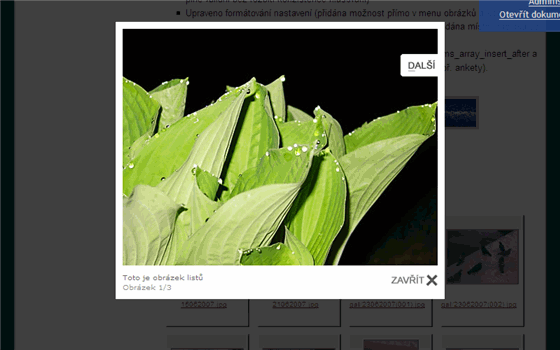 Lightbox